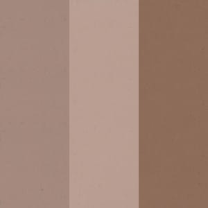 Pigmento Mineral en pasta nº 10.jpg