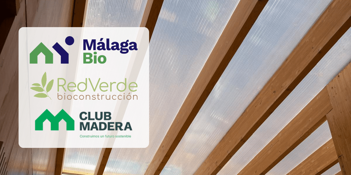 diseño sin título (13)