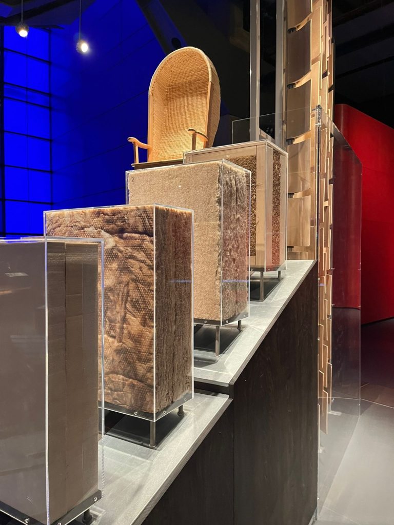 whatsapp image 2025 07 20 at 20.54.57 (1)