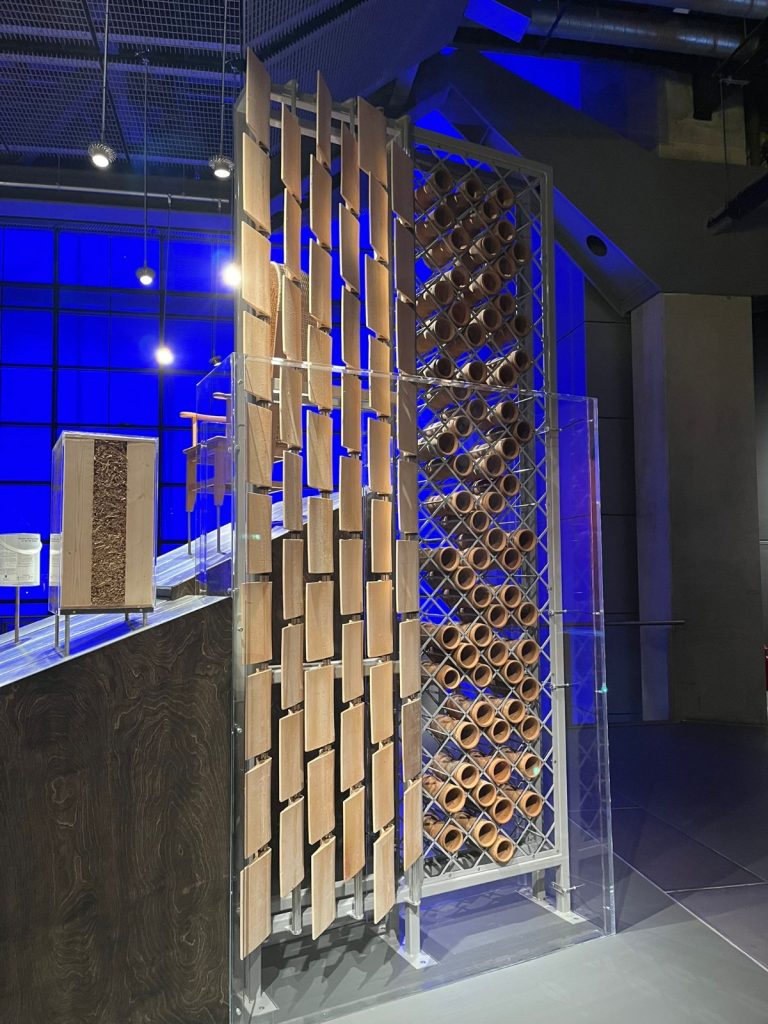 whatsapp image 2025 07 20 at 20.54.57 (2)